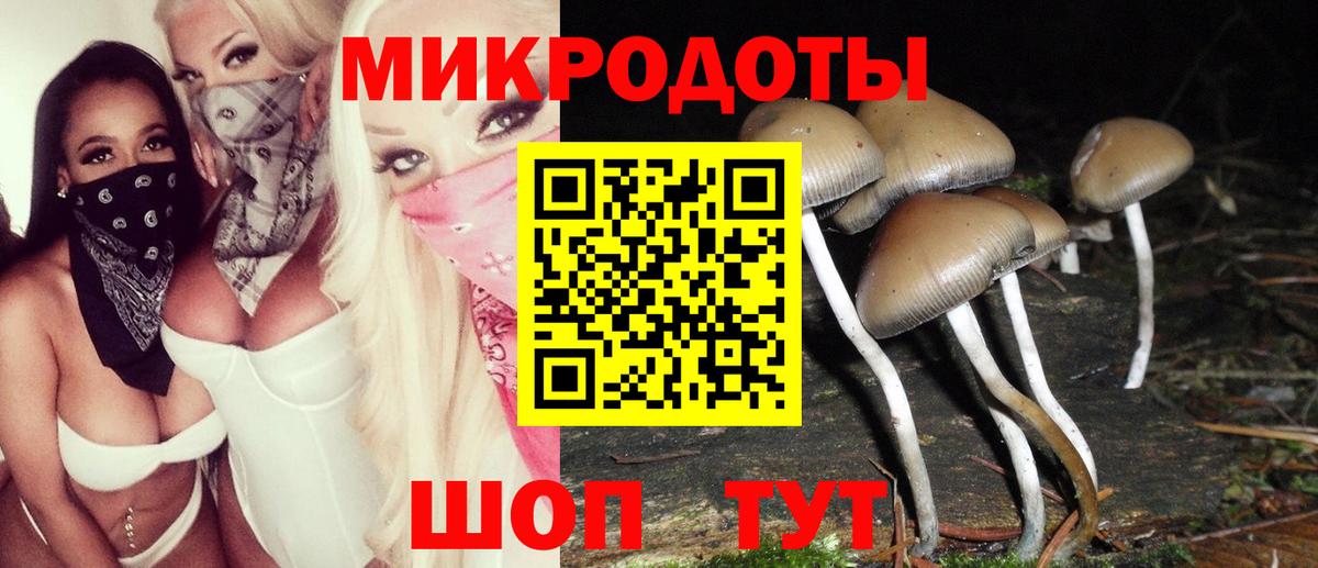 Галлюциногенные грибы Psilocybe  Вход с VPN  где продают   Альметьевск 
